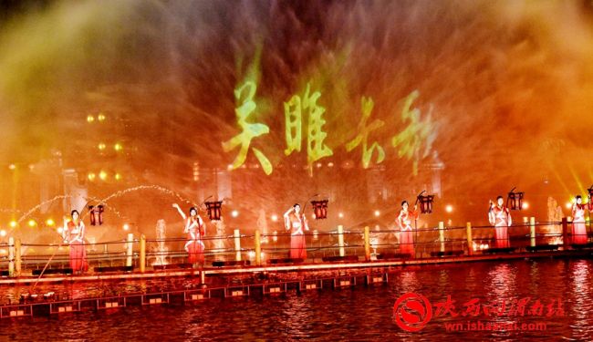 冬天来合阳，赏万顷芦荡，候鸟齐飞（组图）