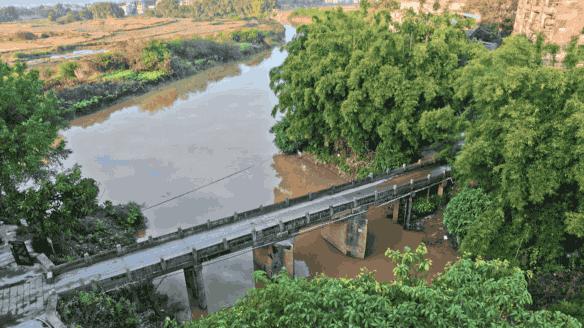 大安古镇闹市,大安古镇的地址