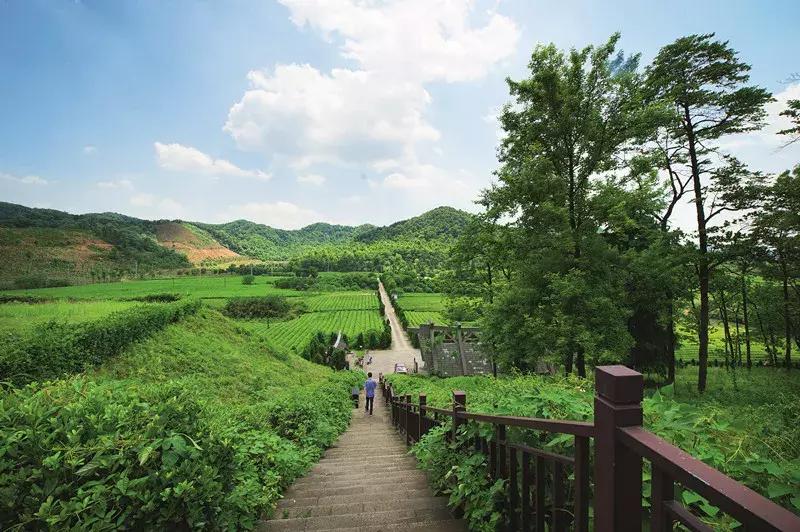 鲁迅刻早字的图片,鲁迅刻早字的故事