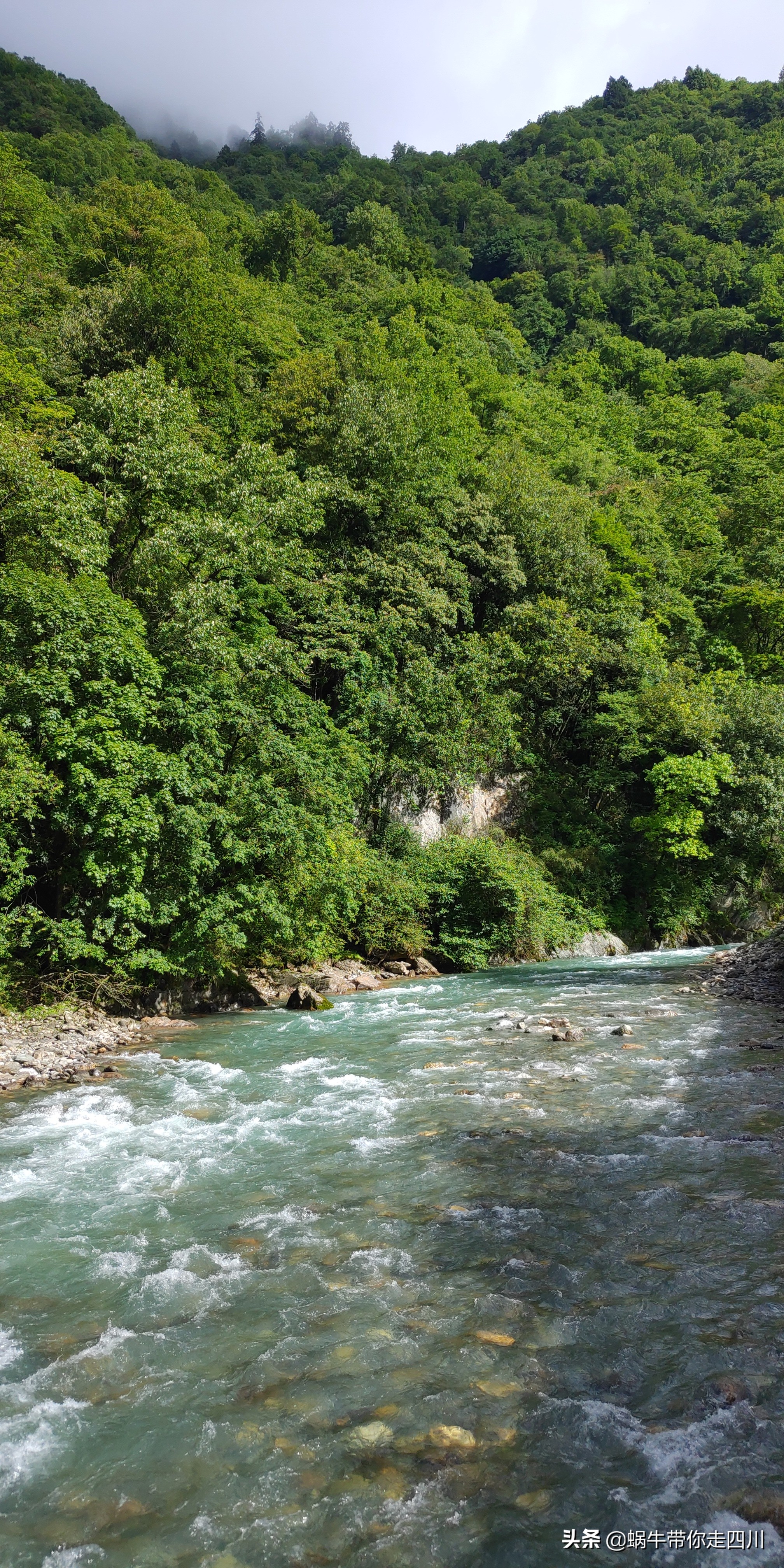 一家三口重庆到拉萨旅游攻略预算,一家三口成都去拉萨大概要多少钱