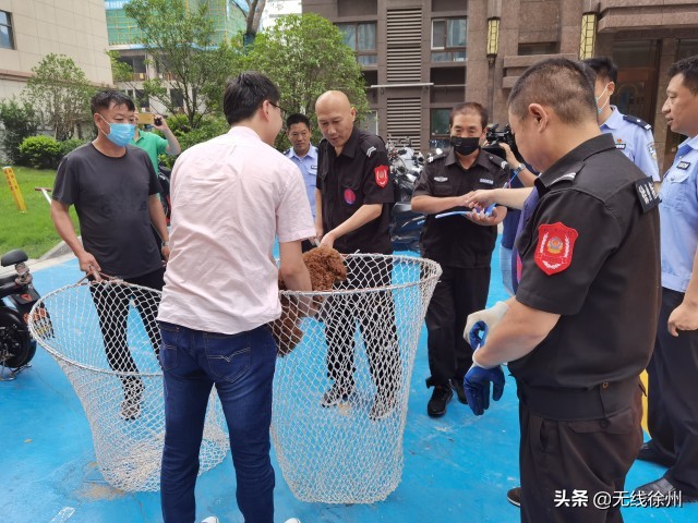 朝阳区小型犬不办狗证可以吗,有人不办狗证吗