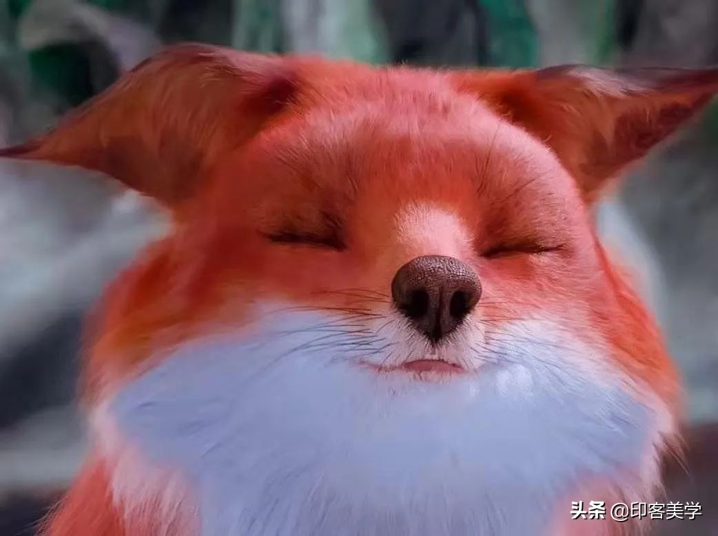 “萌物”，正在掏空年轻人的钱包