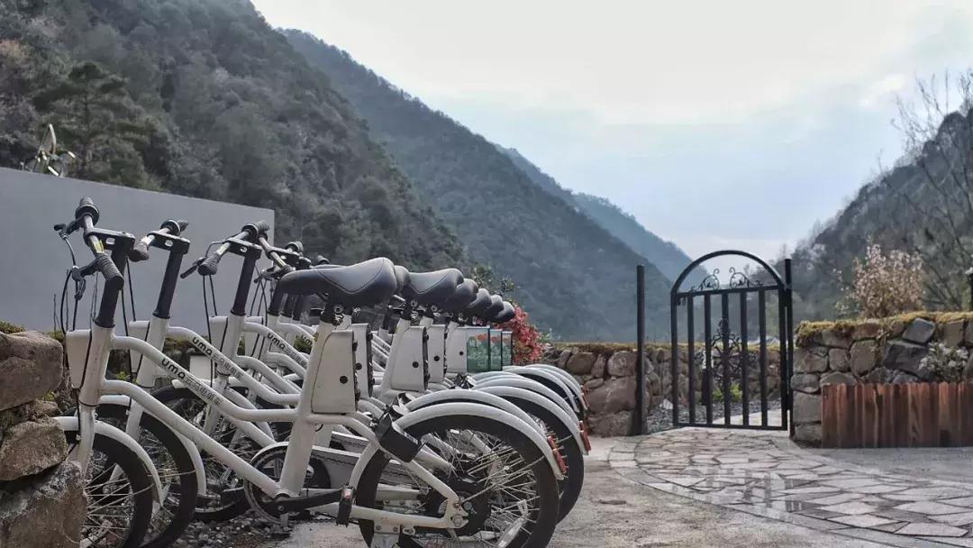 邂逅秋天的千岛湖！光看图已美醉，住这7家美宿避开人群赏湖景山色