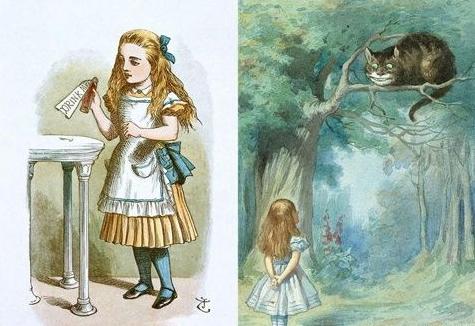 英短猫长大后是什么样的,英短猫的成长大小跟什么有关