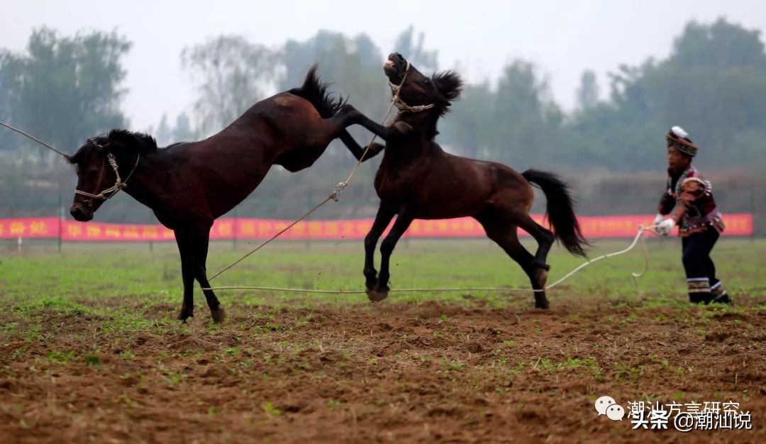 气到浪裂？错了，浪是不会裂的。教你“浪裂”正字怎么写。