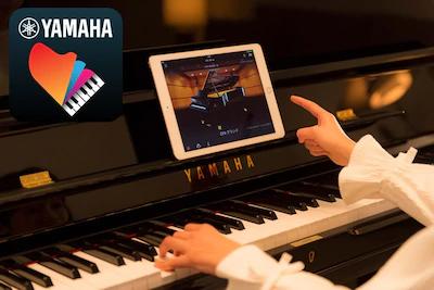 雅马哈钢琴b121官网价,雅马哈钢琴102全新