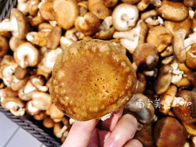 买香菇挑湿的买还是干的买,买香菇应该买大的还是买小的