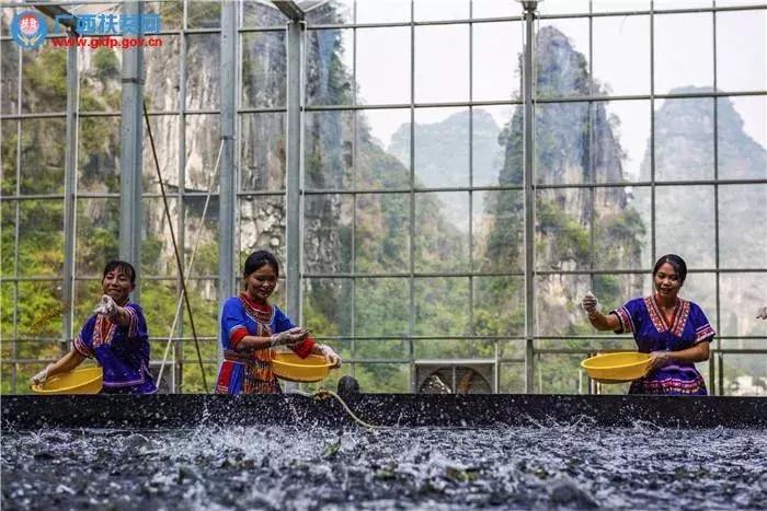 广西财政奖补政策,广西4地市获补助1亿元