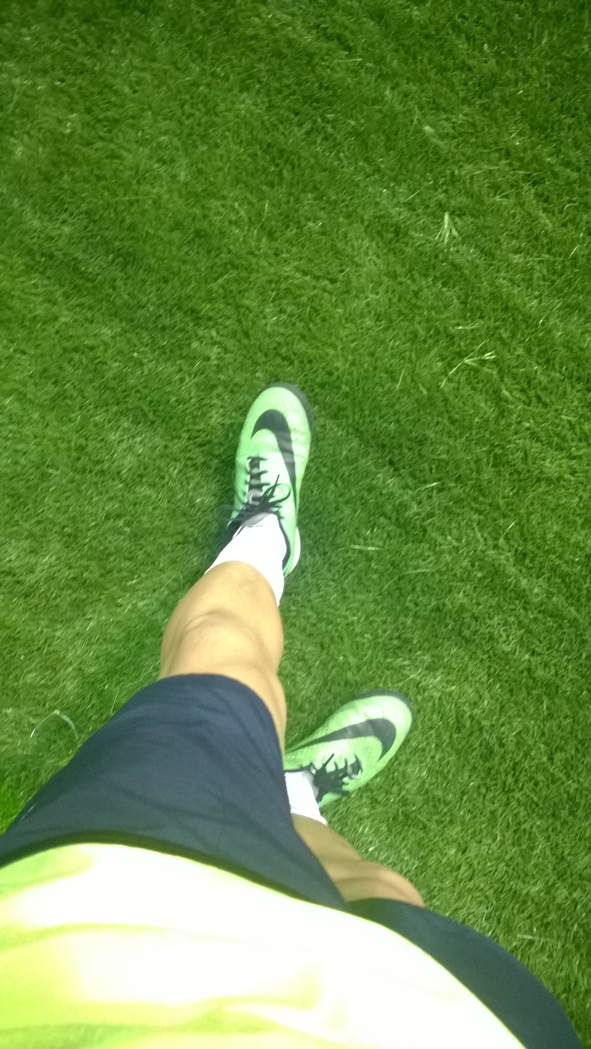 足球狗之歌-纪念失去的青春