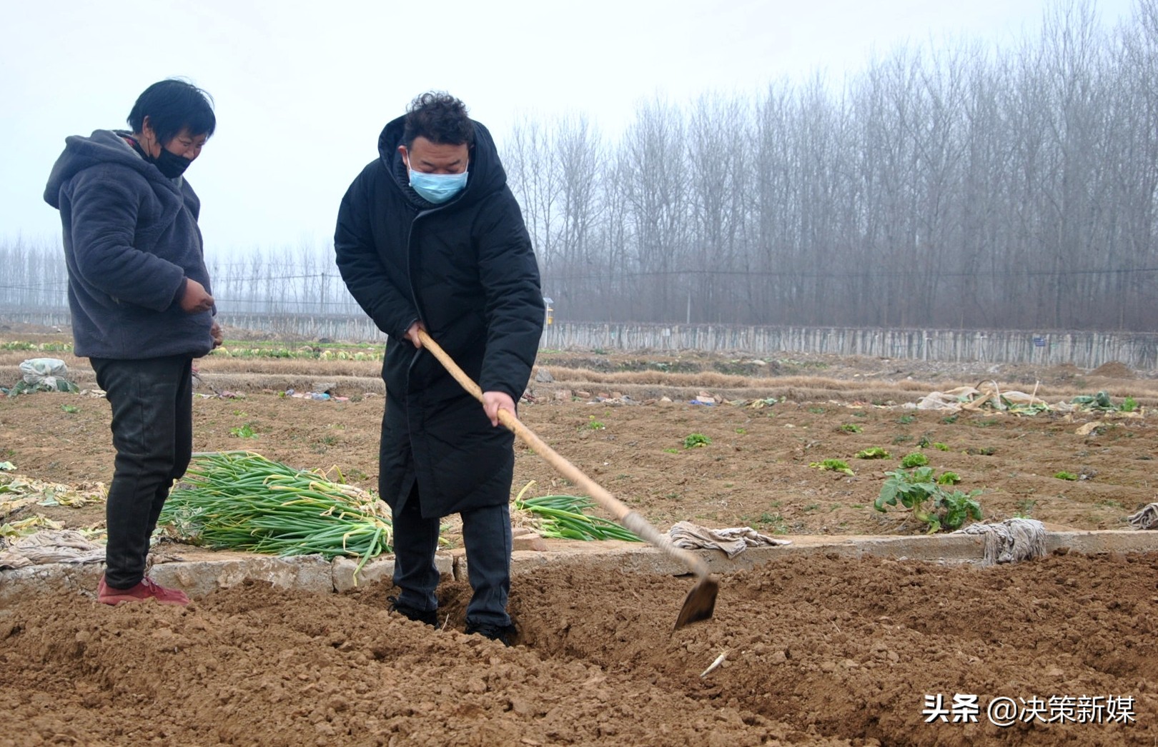 内乡杨帅,内乡县大桥乡杨帅