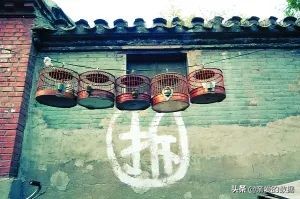 十大经典人工智能算法,人工智能大模型最新算法