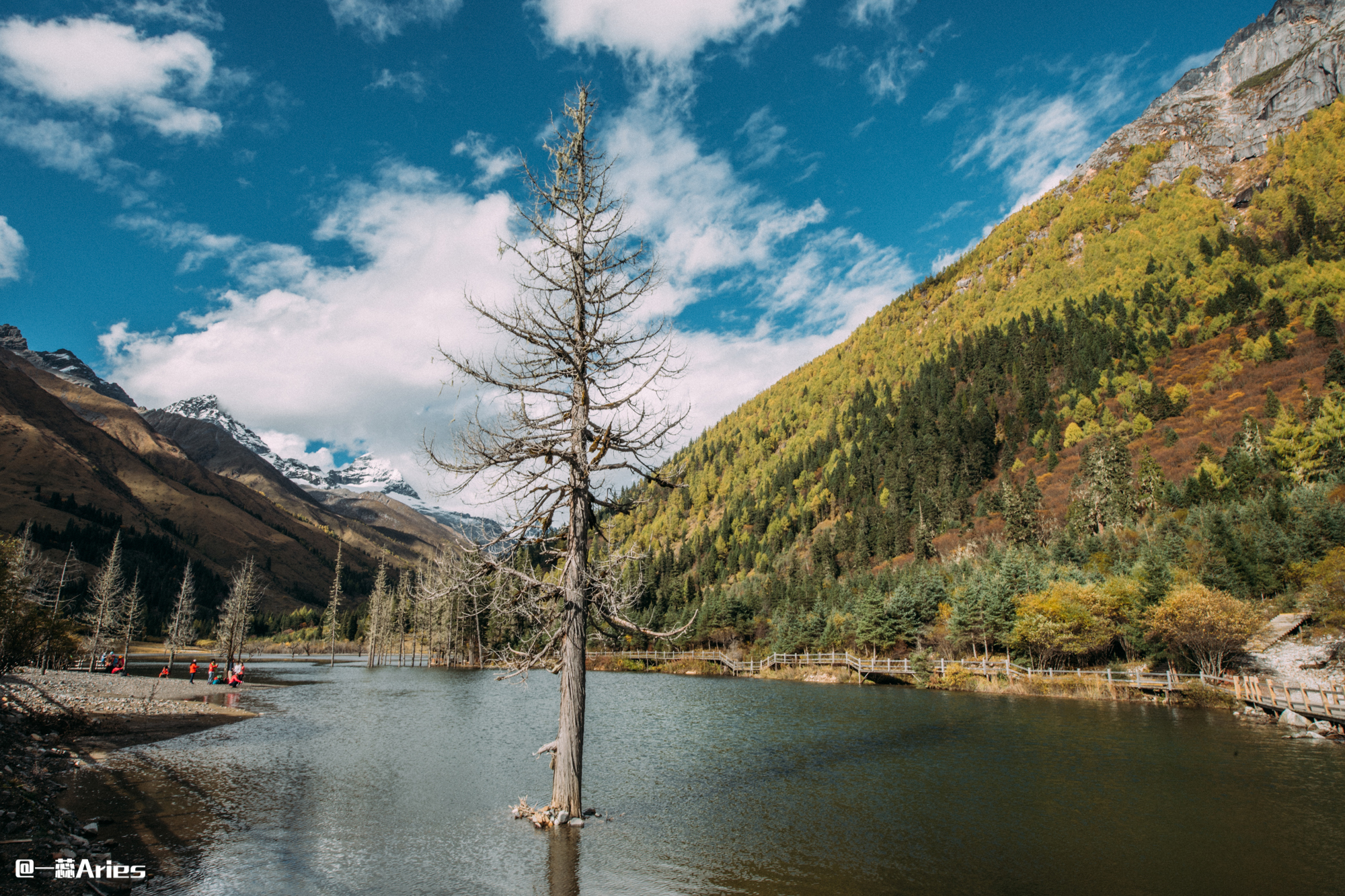 川西赏秋什么时间最好,推荐全球十大最佳赏秋胜地