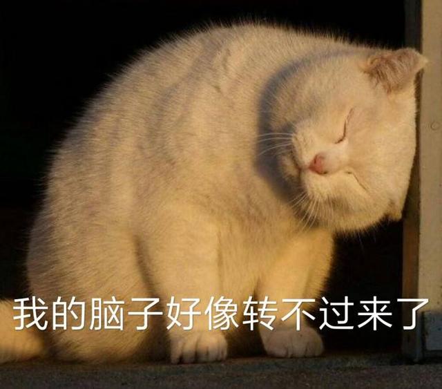 早上上班犯困最快解决方法,每天上午工作都犯困怎么回事