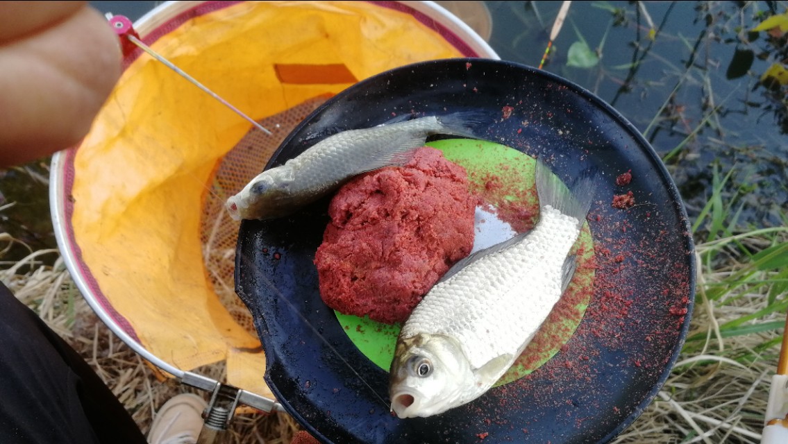 钓鱼闹小鱼技巧,钓鱼怎样防小鱼闹窝