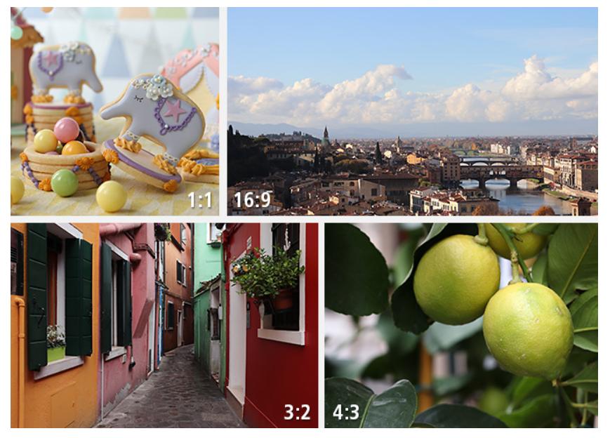 佳能单反相机800d配什么镜头好,佳能800d单反相机入门教程第一讲