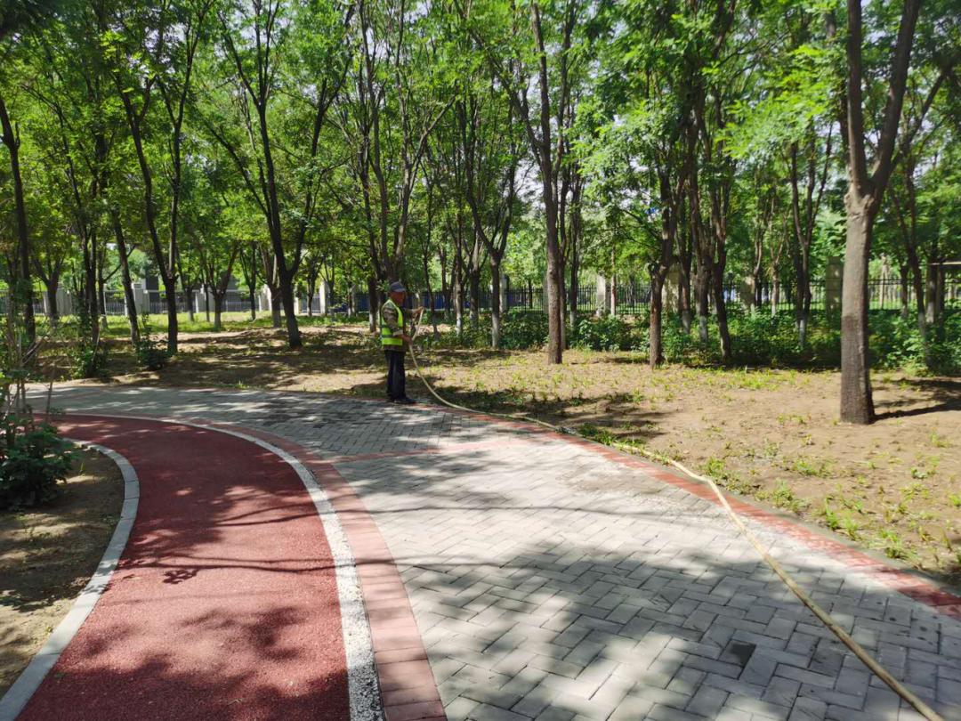 疫情过后园林企业生存现状如何？来看看这位项目经理的一天