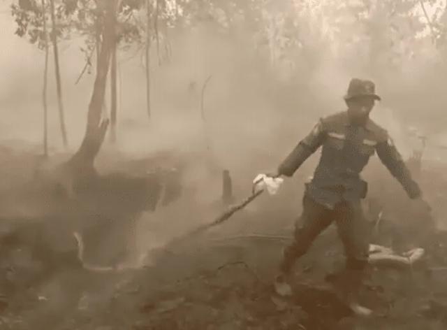 巨蟒蛇才是世界上最大的蛇,比500米巨蟒还厉害的蛇