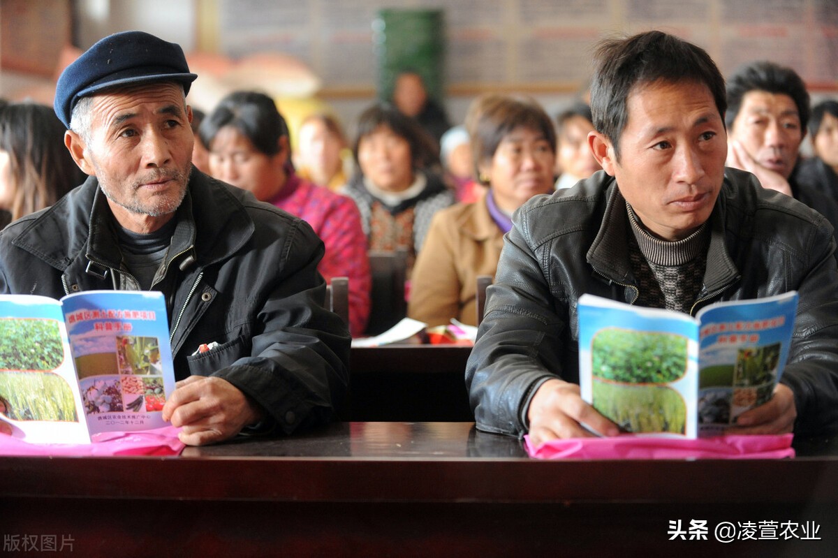 新型三位一体合作社,合作社三位一体