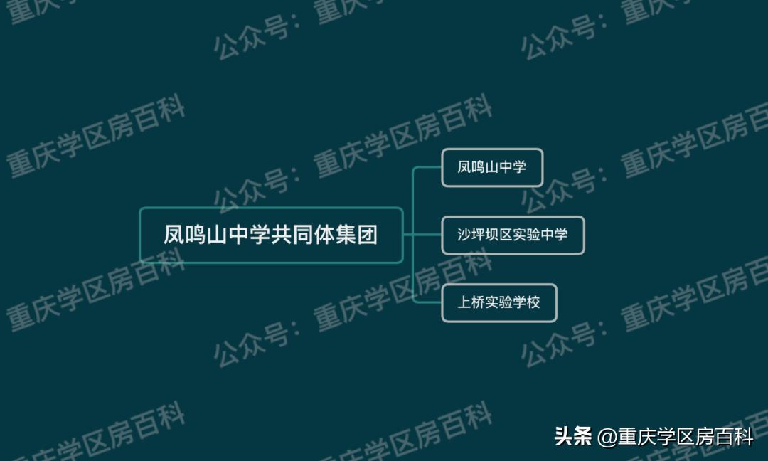 重庆五大教育集团,重庆五大幼教集团