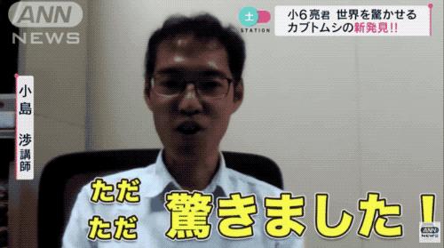 疫情期间12岁小学生做出颠覆常识的发现，以一作身份发了论文