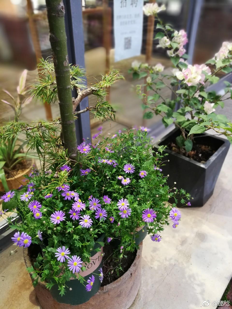 江西景德镇陶溪川陶瓷文化创意园,景德镇陶溪川文创街区夜景美篇