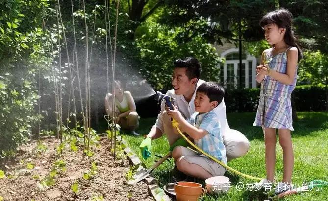 现在农村冷门小本创业项目,十大冷门赚钱的小生意