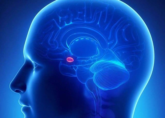 了解情绪的源头，你才能真正懂人性，才能真正调动智慧