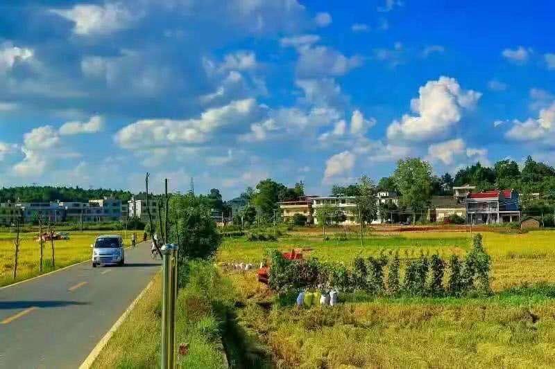 徐闻历史名胜古迹介绍,徐闻古驿道