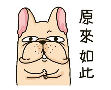 神奇的另纸签证,我们的E字头电子普通护照究竟得罪了谁?