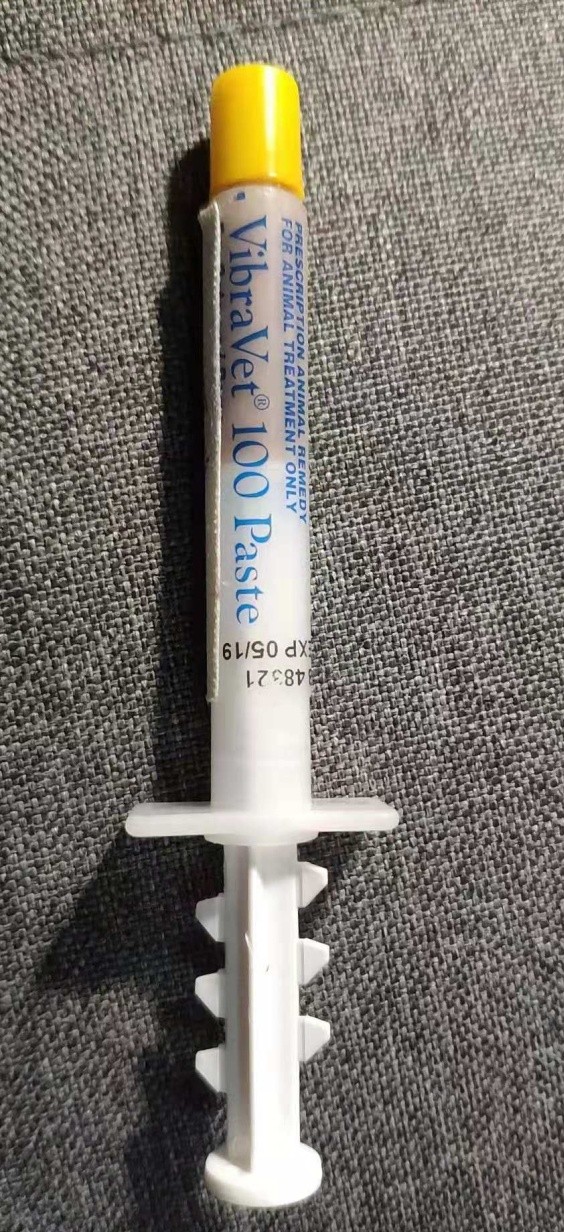 你得知道的那点事儿?猫咪常备药