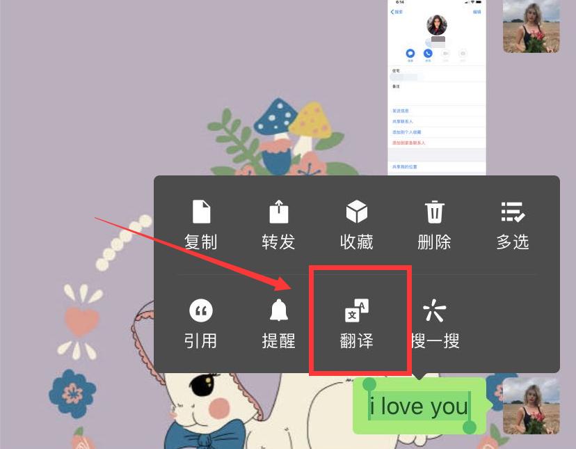 苹果自带翻译器能翻译几种语言,怎样使用苹果手机的翻译功能