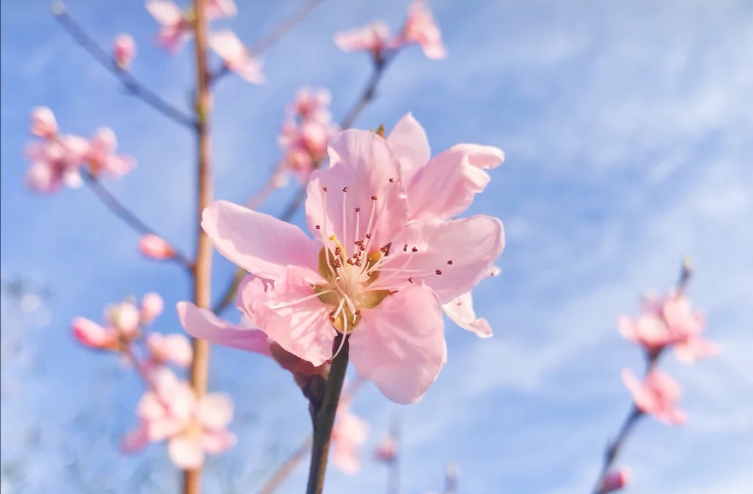 开头结尾呼应的作文开头结尾摘抄,形容时间过得飞快的作文开头段落