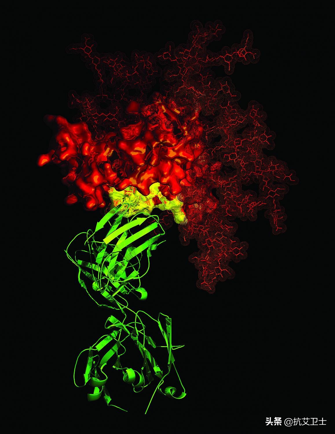 hiv各种检测方法的准确率,hiv检测发展过程