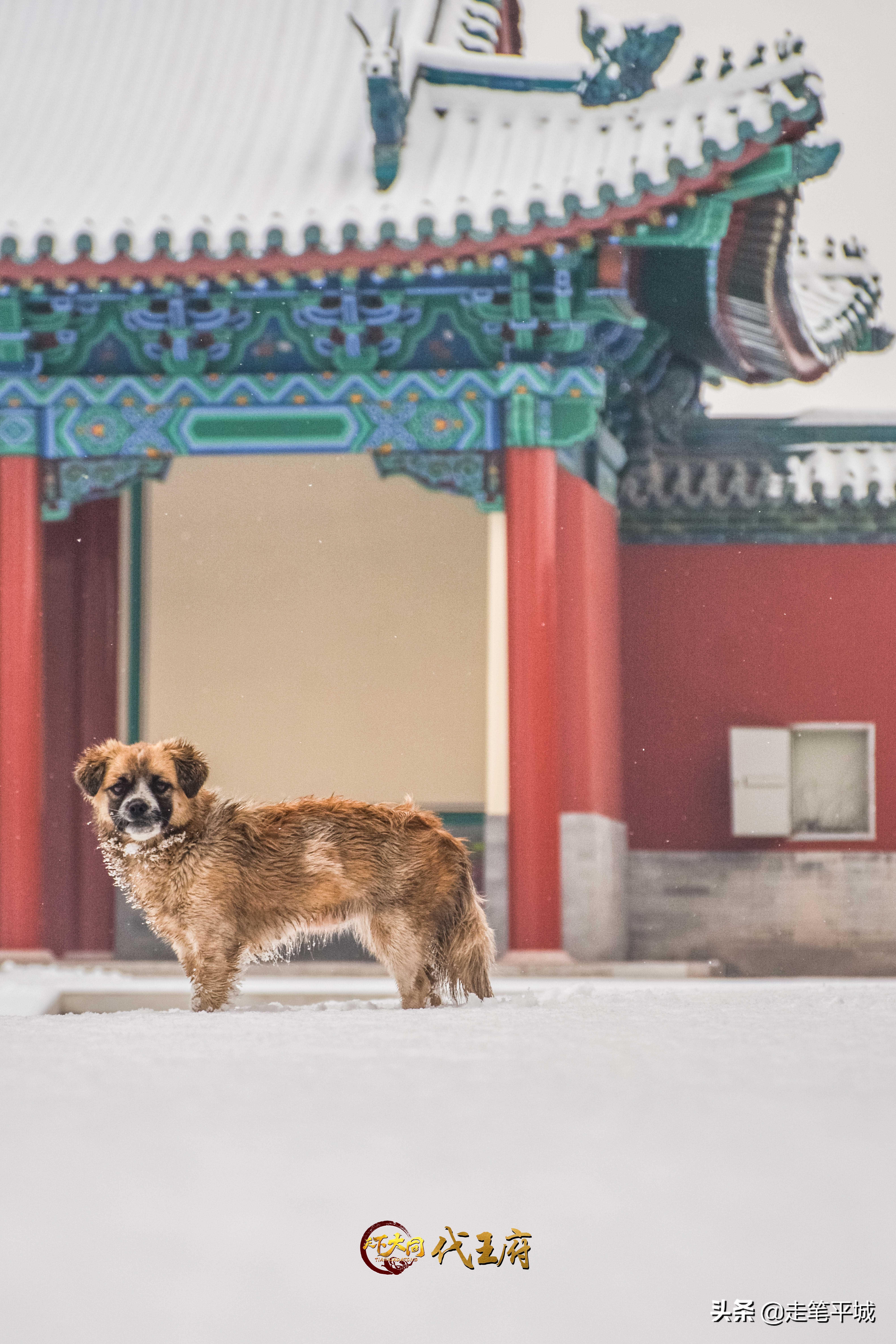 雪中中国,雪中的中国