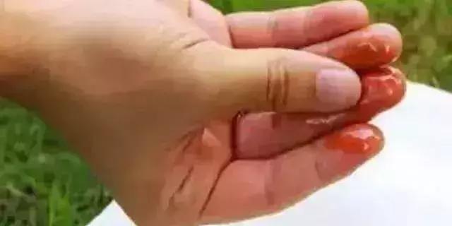 机油尺辨别机油真假,机油试纸辨别真假机油