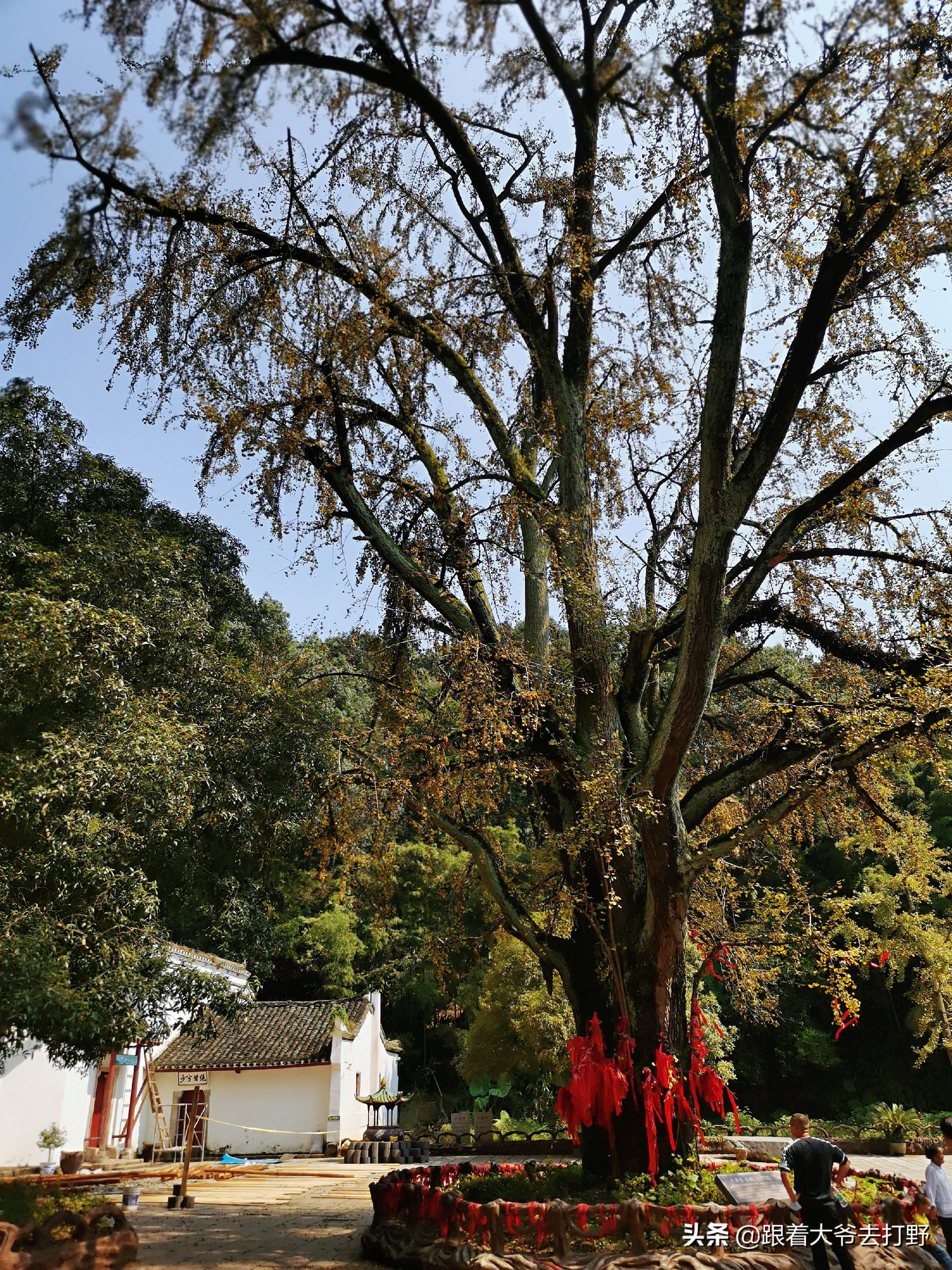 荆州悦兮半岛温泉度假村,山湖温泉惠游湖北