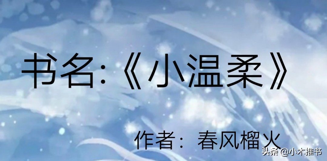 现言甜宠文小说解说,现言甜宠小说暖文