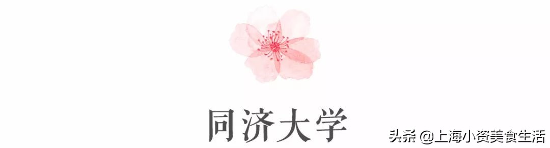 顾村公园一年一度赏樱,顾村公园赏樱点