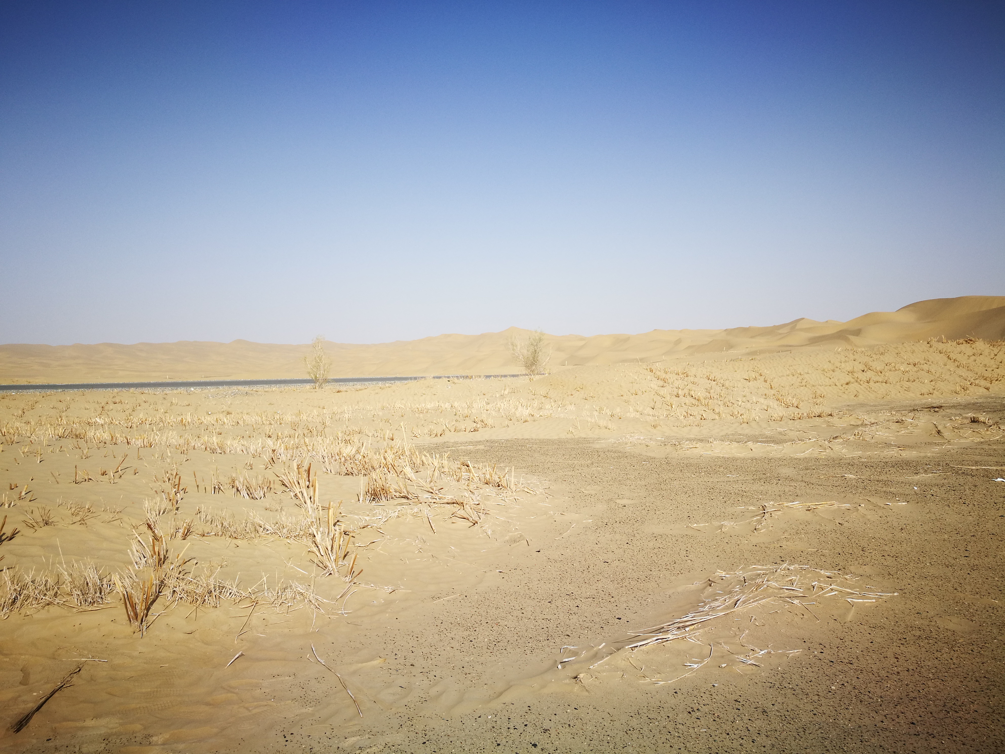 13000公里新手独驾*疆新**日记第23天——塔克拉玛干沙漠陷车自救