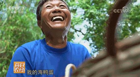 咸鸭蛋但是咸鸡蛋却很少有人吃,如何让咸鸭蛋蛋黄流油而不会咸