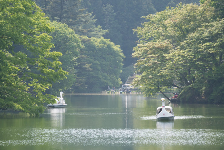 摄影拍照怎么避免雾气,拍照如何除去雾感