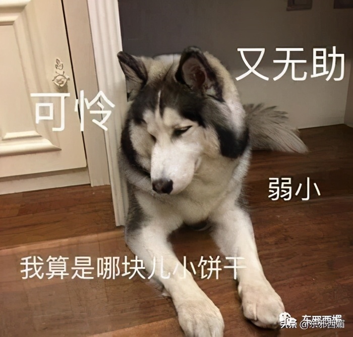 特别狠的打脸视频,好狠完整版免费阅读