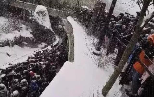 外国到底有多喜欢大熊猫,外国人是有多喜欢大熊猫