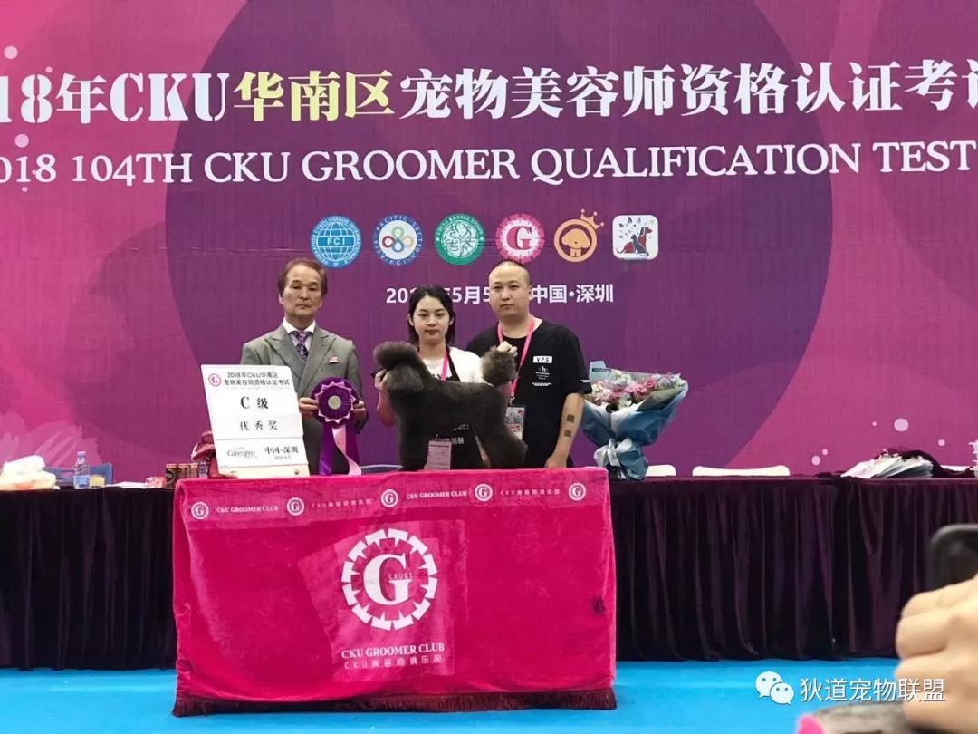 深圳口碑最好的成人教育培训机构,深圳十大成人教育培训机构排名榜