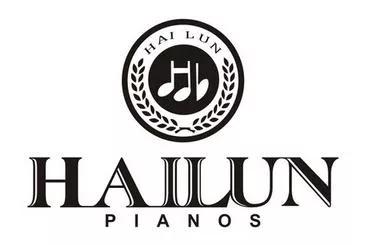 钢琴的十大知识,钢琴知识讲解哪家比较专业