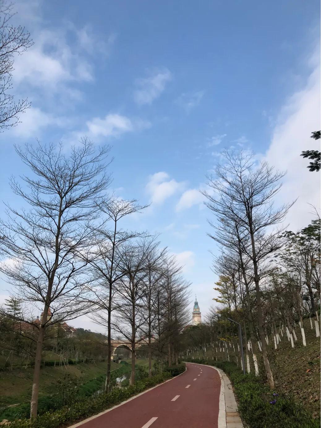 我的试管之路上,试管路上