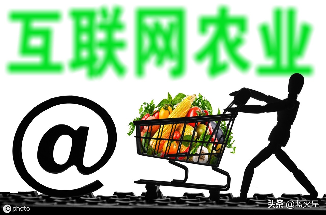 开蔬果超市利润怎么样,开超市利润空间有多大