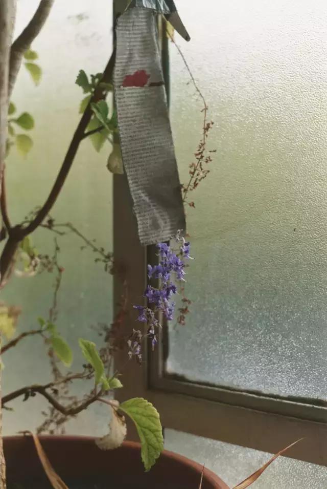 世界级摄影大师作品,100位摄影大师代表作