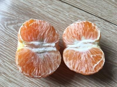 广西沃柑种植前景分析,沃柑种植前景和图片