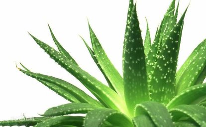 想拥有光滑的皮肤,想拥有好肌肤